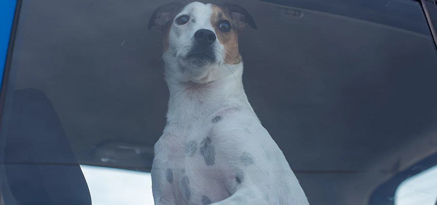 Car Lockout Solutions in Rancho San Diego, California